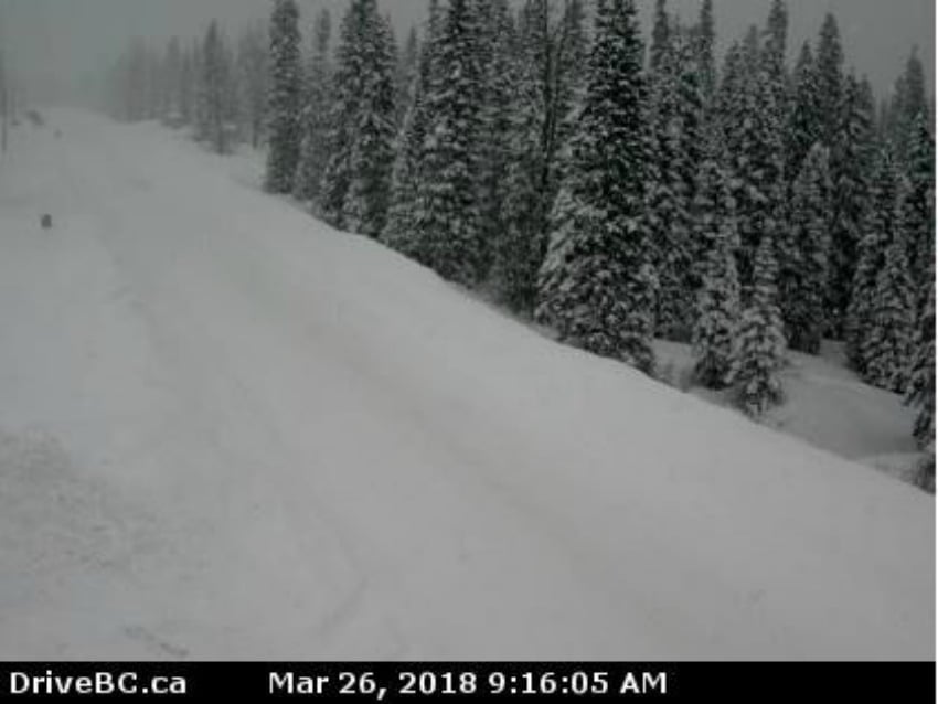 Pine Pass