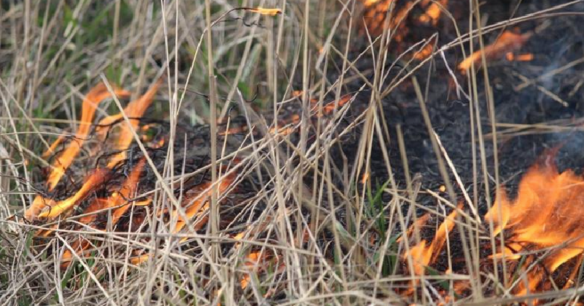 Yukon wildfires growing rapidly due to weather as Dawson switches to backup power