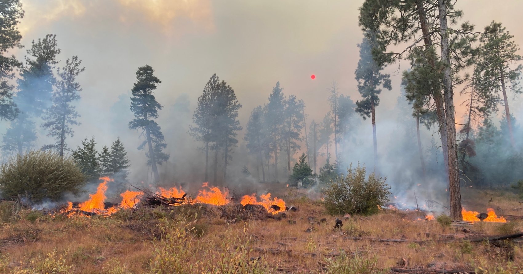 ZipZone Adventure Park evacuation order lifted as Peachland wildfire now under control