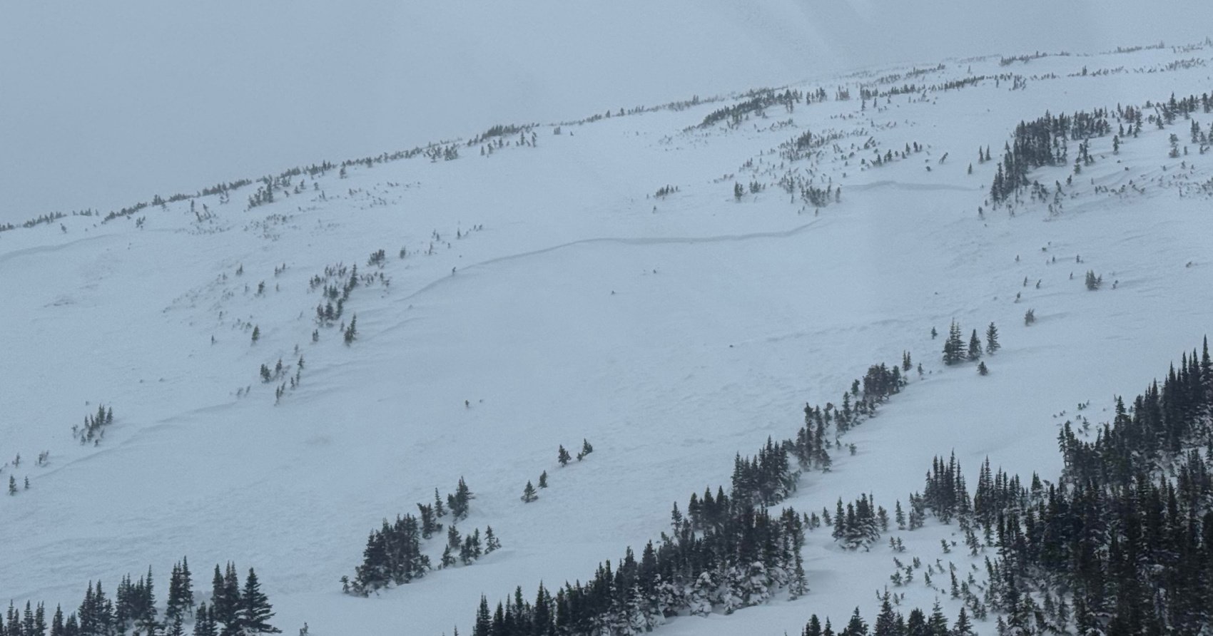 Snowmobiler killed by 300-metre-wide avalanche in BC Rockies