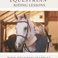 Equestrian Riding Lessons 