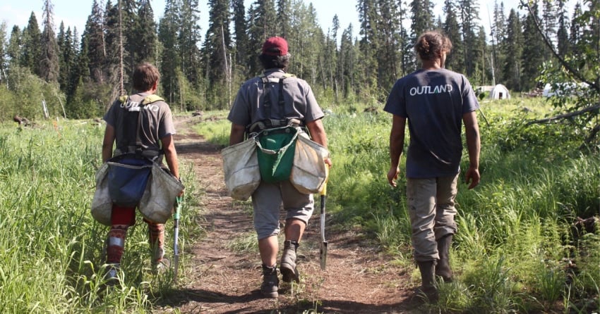 BC taking steps to remove single-use plastics from tree planting industry