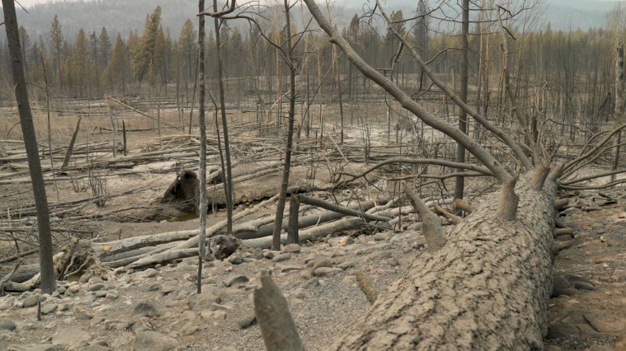 <who>Photo Credit: BC Wildfire Service/screenshot