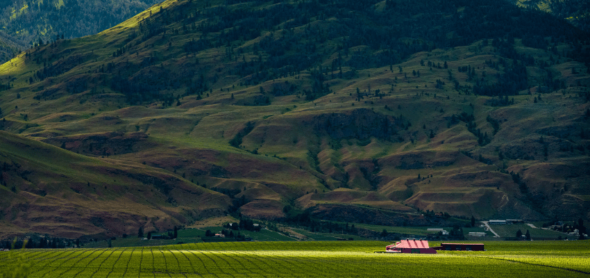 Red Barn Winery at Jagged Rock is open for business