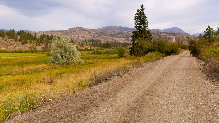 <who>Photo Credit: NowMedia</who> Old rail bed west of Okanagan River near Vaseux Lake