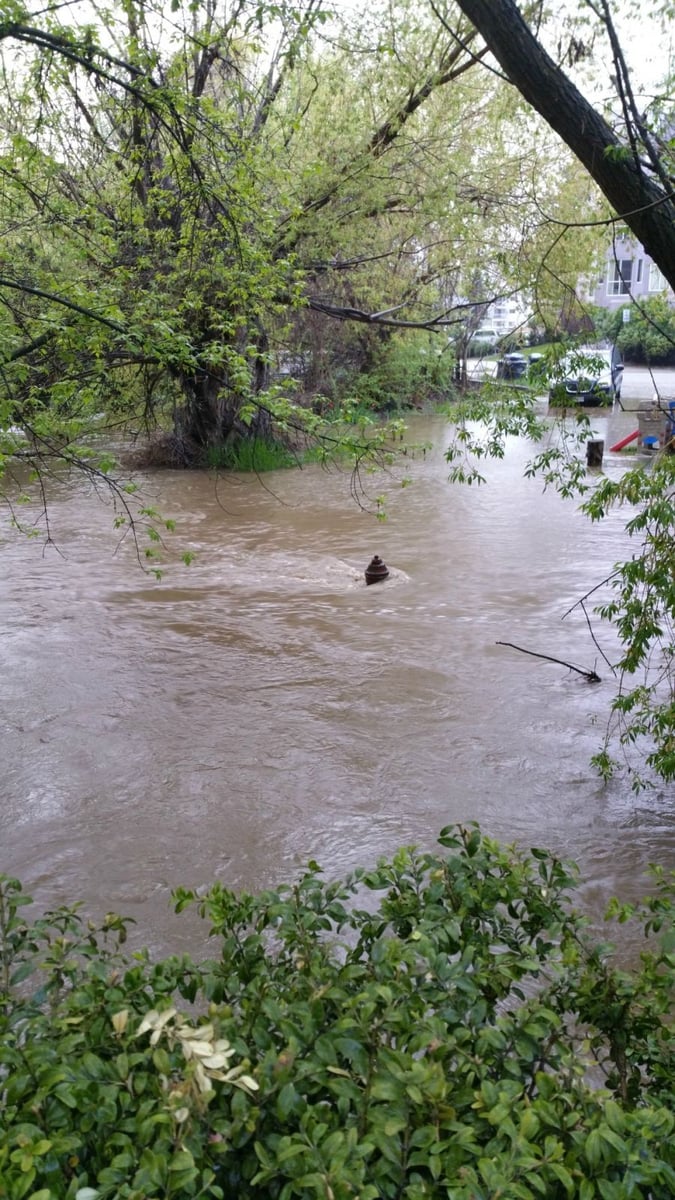 Photo credit: Glen Cullen - Richter Street where Mill Creek crosses