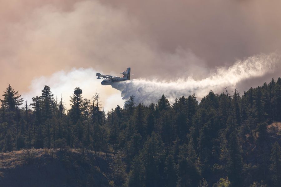 Photo Credit: NowMedia/Gord Goble</who>