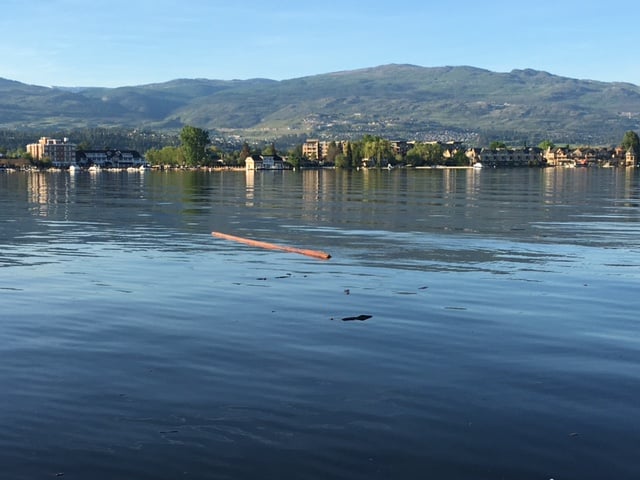 Photo credit: Denise Egan - Lots of debris in the lake