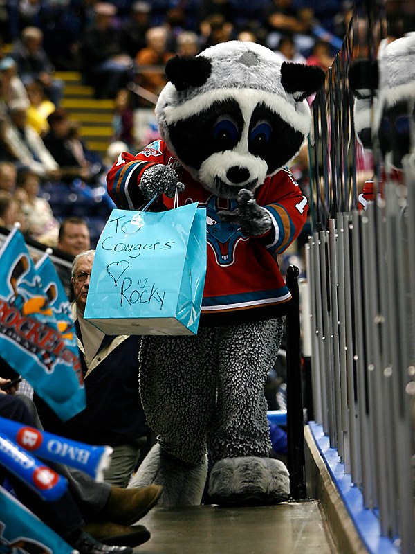 <who> Photo Credit: Rocky the Raccoon's Facebook.
