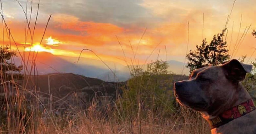 PHOTOS: Scenic sunsets amid the smoke in the Okanagan