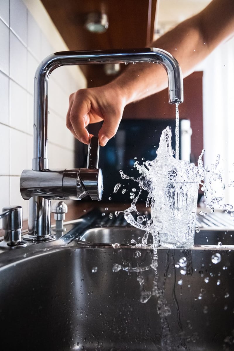 </who>Kelowna's tap water is pristine.