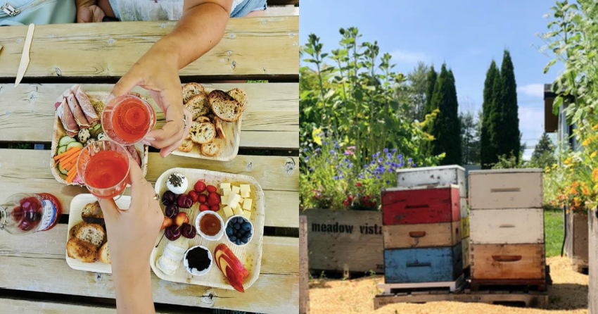 ‘Nature in a glass’: Try some honey wine at Meadow Vista in Kelowna this summer
