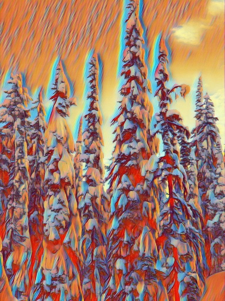 </who>One of the students digitally enhanced photos to sell through his Snow Ghosts Photography business.