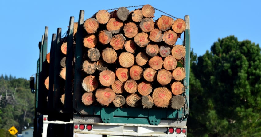 Program in the BC Interior will train 8 new professional logging truck ...