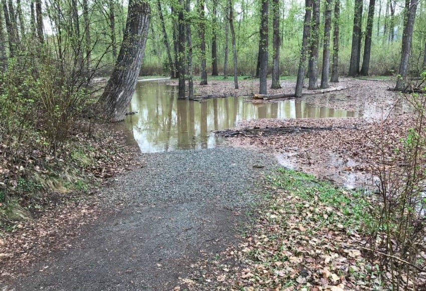Cottonwood Island Park