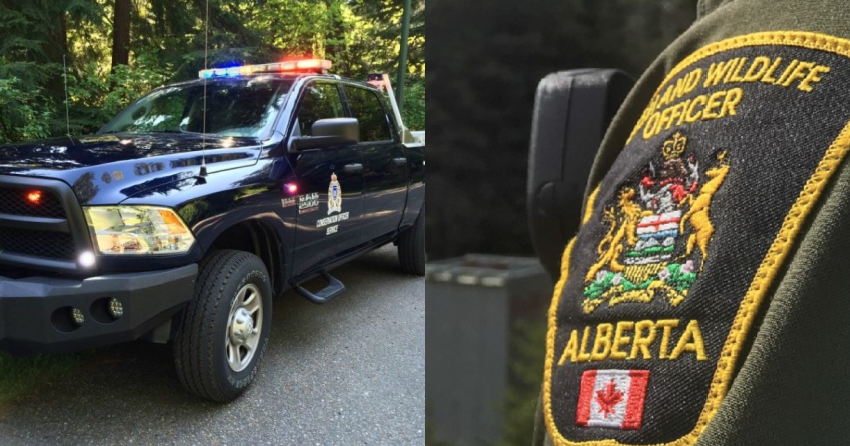 <who> Photo Credit: BCCOS/Alberta Fish and Wildlife Enforcement