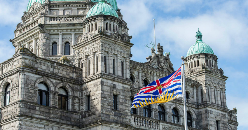 Slight rebound and moderate growth for BC this year