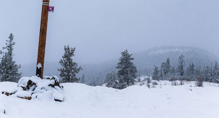 PHOTOS: Kelowna residents enjoy a picture-perfect snowfall