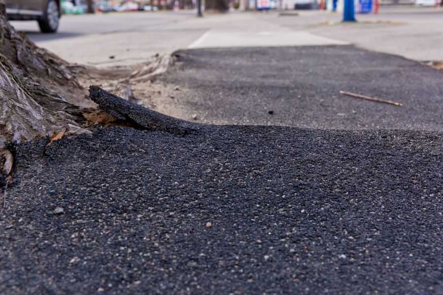 <who>Photo Credit: NowMedia</who> The downright dangerous Westminster Avenue sidewalk today, just outside the Husky station