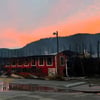 ‘My babies are gone’: Around 40 calves killed in overnight fire at D Dutchmen Dairy