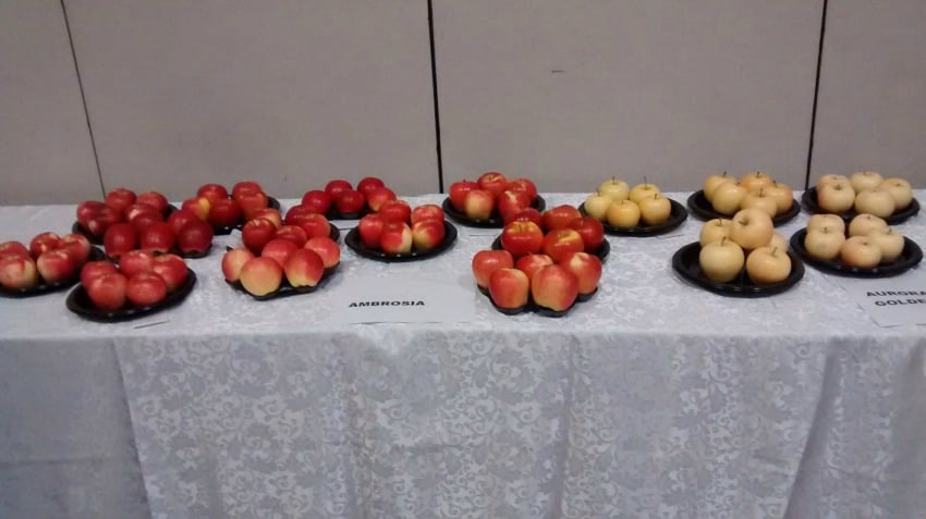 <who> Photo Credit: BC Fruit Growers Association