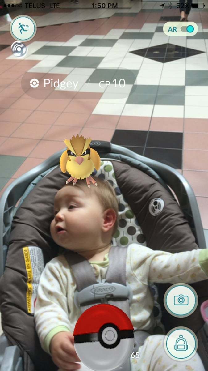 <who> Photo Credit: Jenelle Sims </who> A little Pidgey landed on the head of Brooklyn Sims. 
