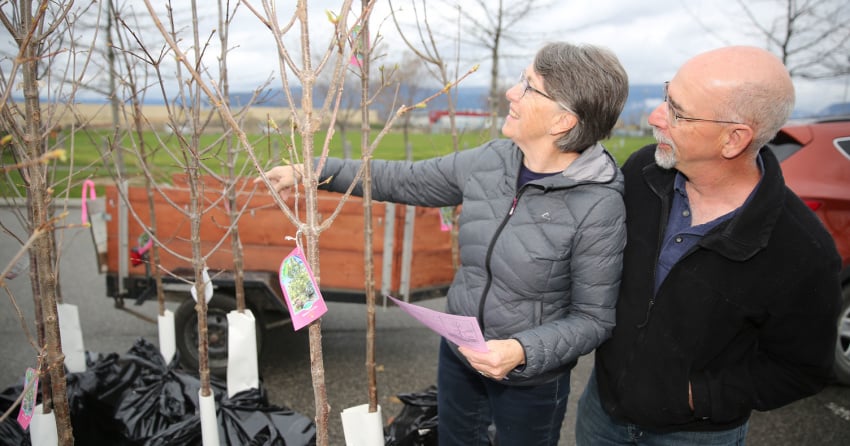 Tree-purchasing programs return for spring editions in Kelowna and West ...