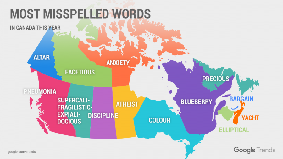 <who> Photo Credit: Google Canada.
