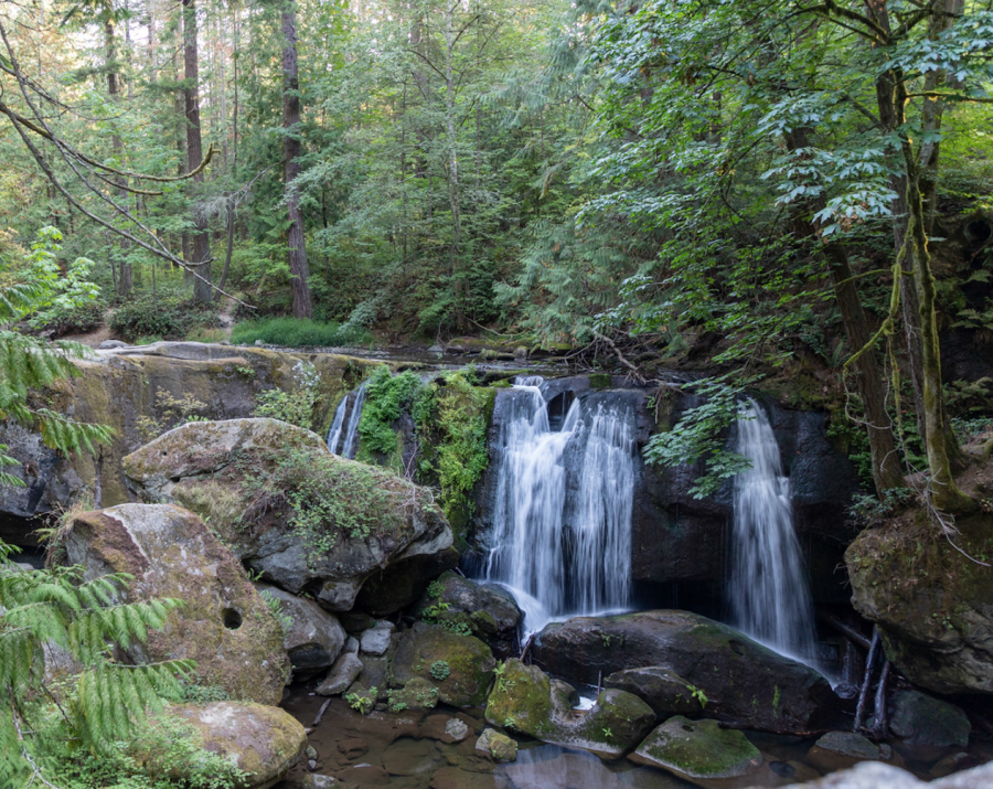 <who>Photo Credit: John Borda</who>