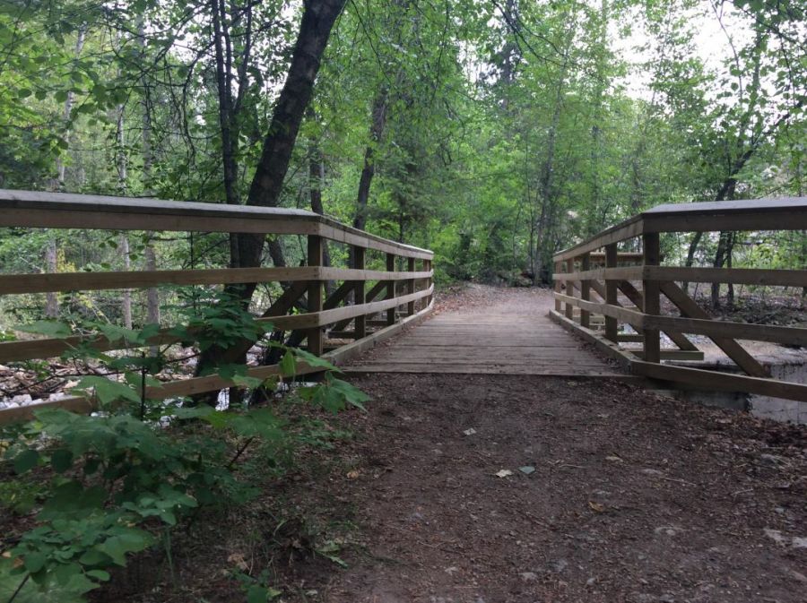 <who>Photo Credit: RDCO</who>KLO Creek Regional Park