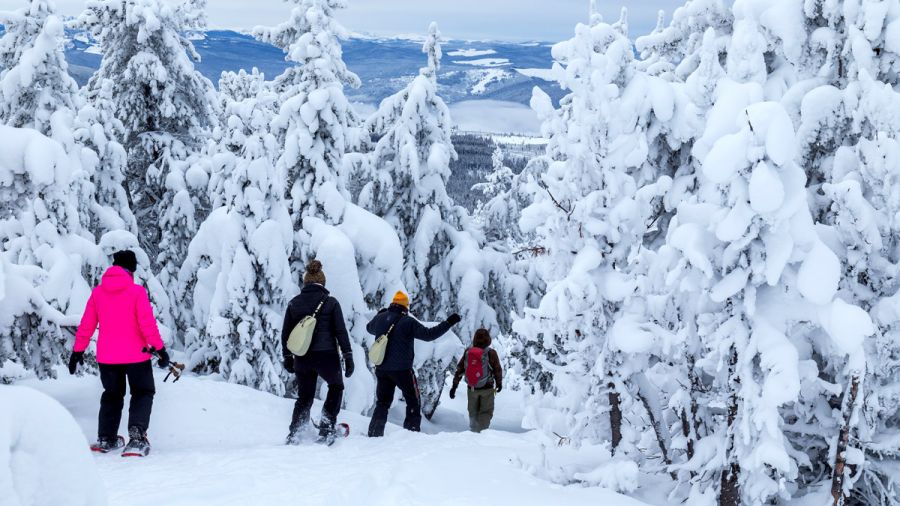 Snowshoeing is a peaceful and exhilarating way to experience the Okanagan region.