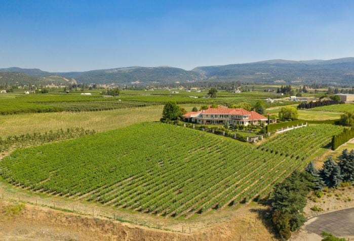 </who>An overview of the 11.3-acres property with vineyard in the foreground and the Italian-style mansion in the background.