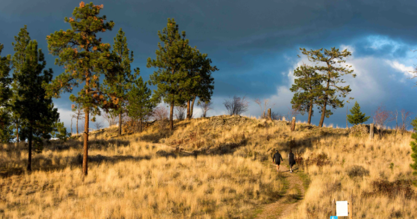 Kelowna weather: Cloudy, high of zero, light winds