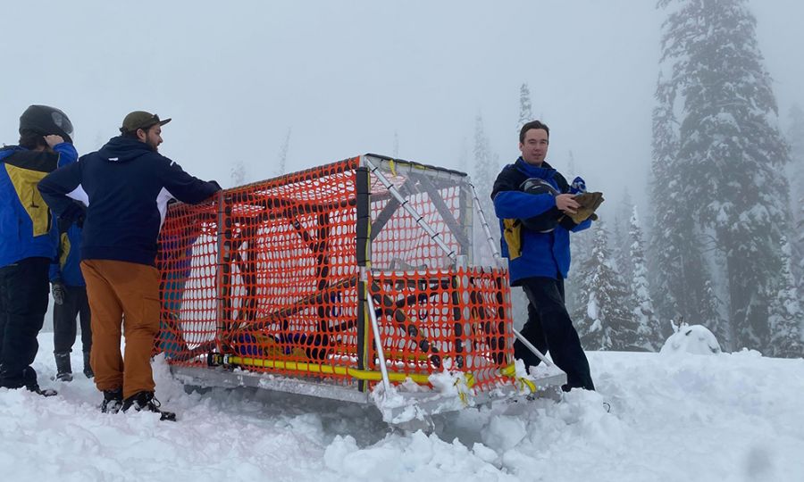 <who> Photo Credit: UBCO 