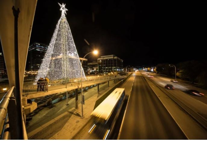 </who>Every year for 23 years, the Tree of Hope has been illuminated over the holidays in the Landmark District on Highway 97 across from the Parkinson Recreation Centre.