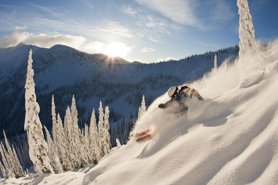 <who> Photo Credit: Doug LePage