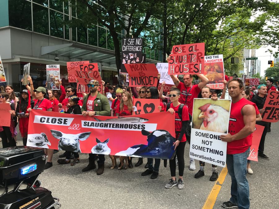 <who>Photo Credit: Contributed</who>The 2017 walk in Vancouver.