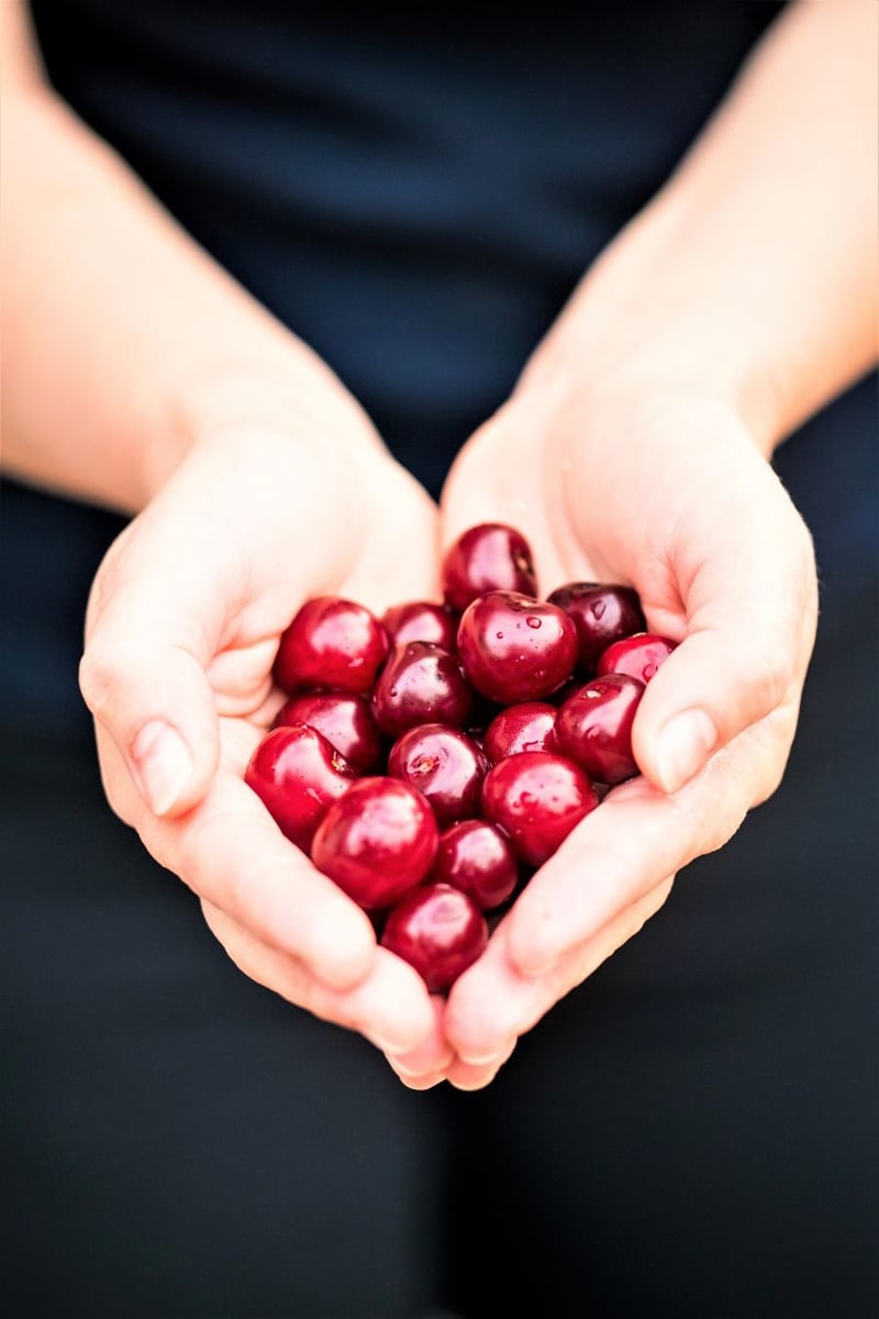</who>Cherries are an important and glamourous Okanagan cash crop worth over $300 million a year.