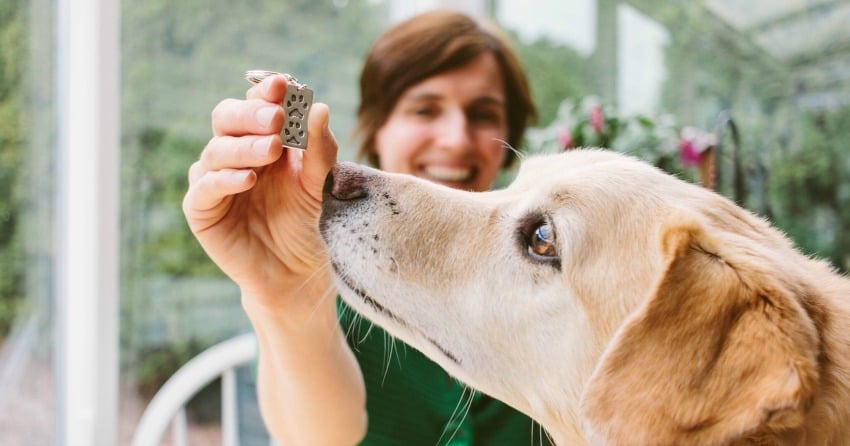 The perfect gift for the animal lover in your life