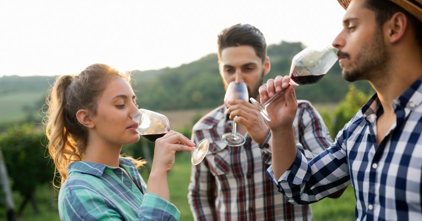 Wine suggestions for the week