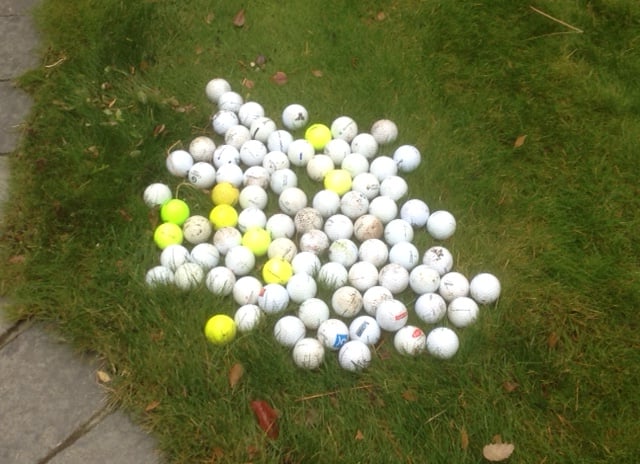 <who>Photo Credit: Barry McDivitt/Facebook</who>A few of the balls McDivitt found that day.