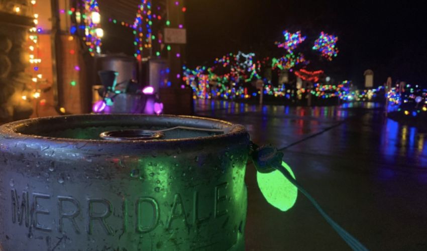 The Christmas Light Up is in full swing at Merridale Cidery