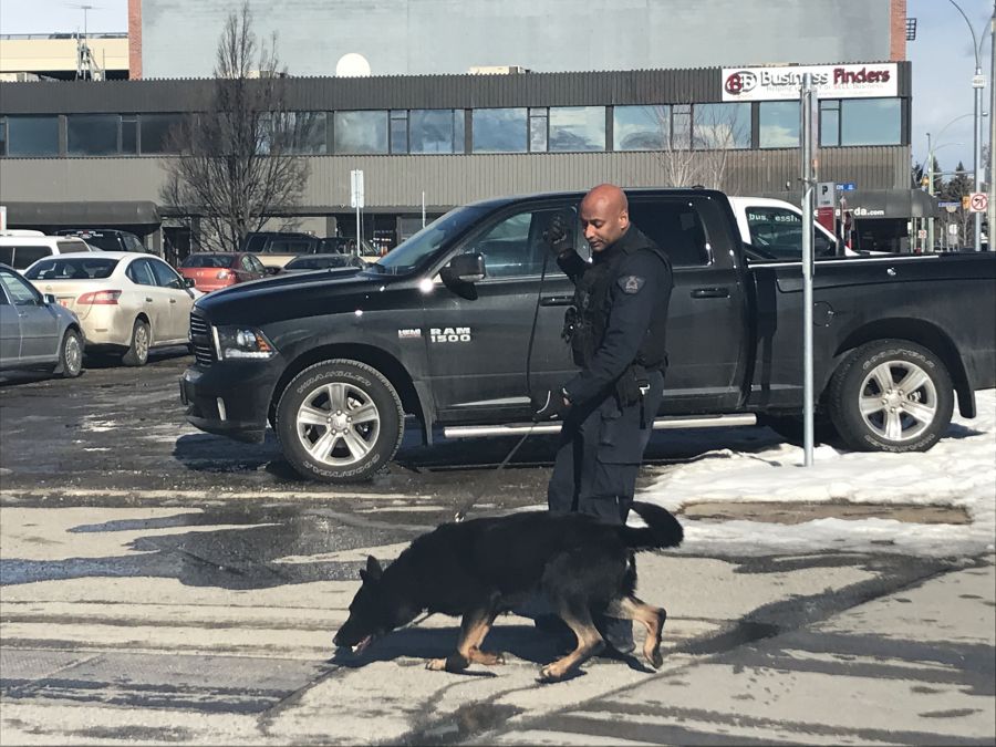 Constable Reg Sahay and Ice