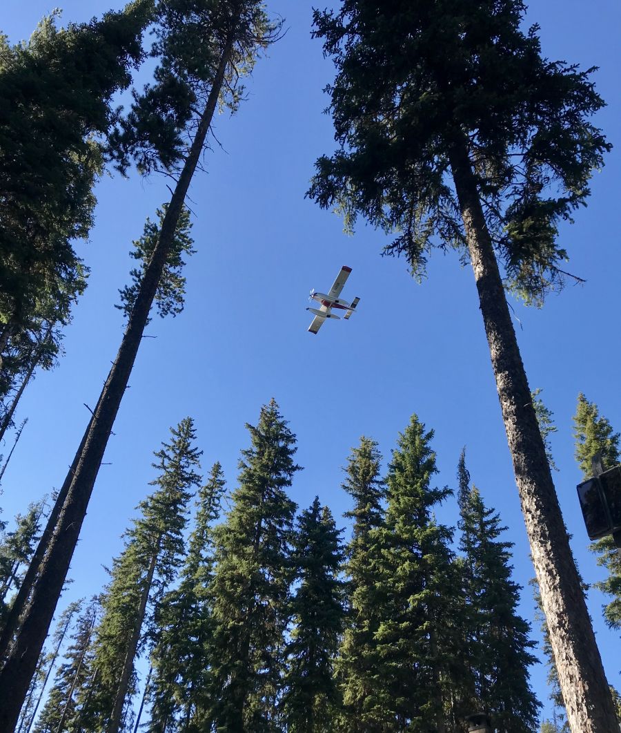 Bombers were filling up in Beaver Lake on Monday night to drop water on the Dee Lake Road fire.