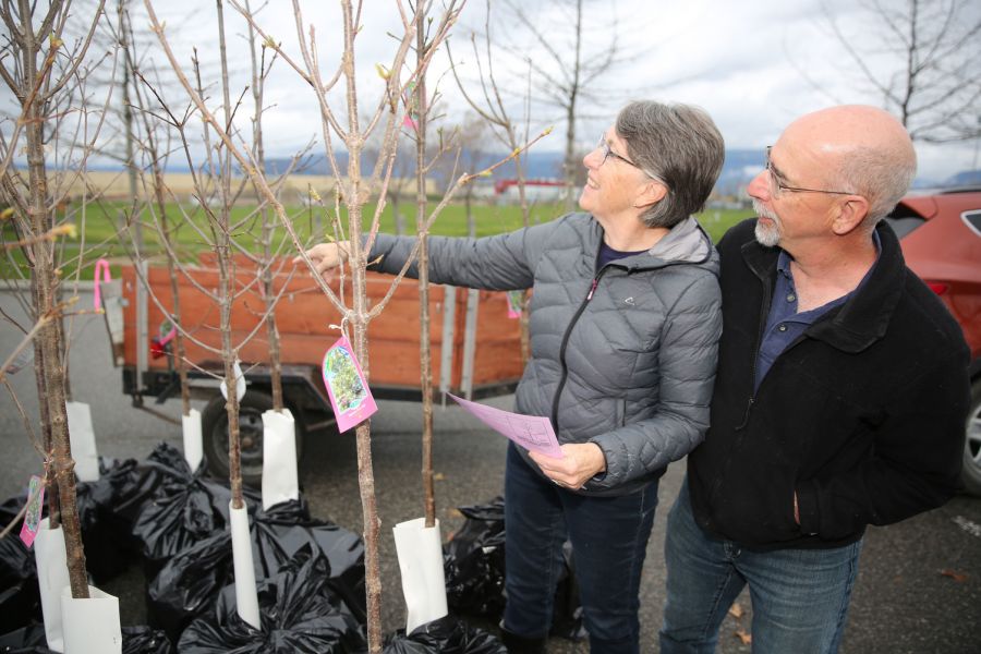 Tree-purchasing programs return for spring editions in Kelowna and West ...