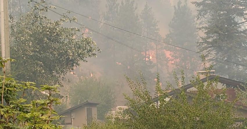 VIDEO: Former MP is part of West Kelowna evacuation order and the fire ...