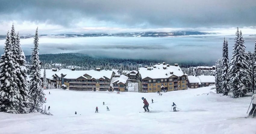 Saturday Spotlight: Where We Wander