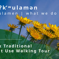 nakulamen (what we do): syilx Traditional Plant Use Walking Tour
