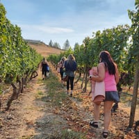 The Orchard Ritual: Yoga, Ocean Drums, Wine &amp; Karat Chocolate Experience!