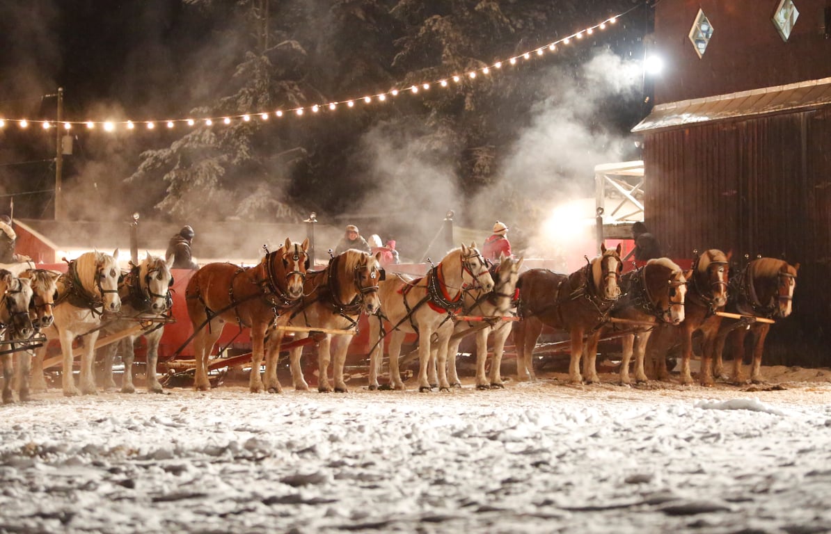 Caravan Farm Theatre is putting on a spectacular holiday show